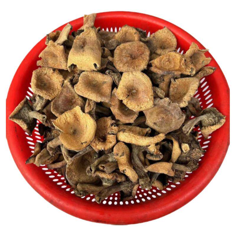 东北野生榛蘑菇香菇类