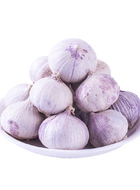 玲珑岭云南紫皮独头蒜大蒜湿蒜