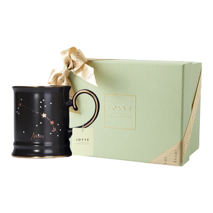 三八妇女节生日礼物送女生女友朋友老婆实用的高级感杯子双鱼座给