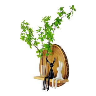 实木壁挂式花瓶上墙面花器水培绿植免打孔客餐厅沙发背景玄关装饰