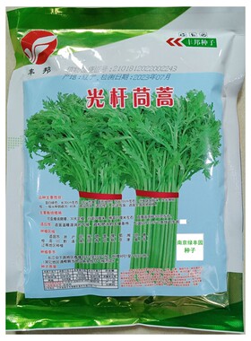 丰邦光杆茼蒿高梗小叶种子500克