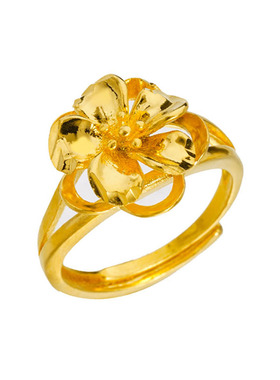 网红同款欧币风越南沙金大气戒指