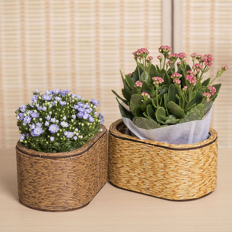 北欧藤编花盆桌面多肉绿盆栽篮篮手工落地花篮装饰植植编织物收纳