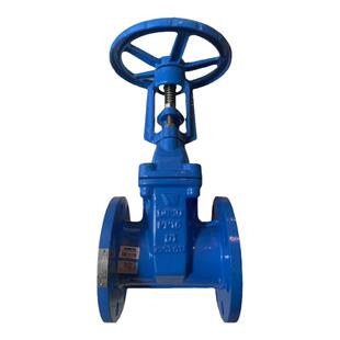 美国沃茨WATTS明杆式法兰闸阀Z41X石油化工水厂PN16水管开关DN100