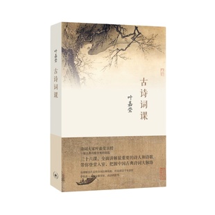 当当网【随机赠古诗词软笔字帖】古诗词课 叶嘉莹先生讲解中国古诗词 古诗词修养进阶读物给孩子的古典诗歌唐诗三百首古典文学理论