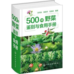 彩图新版 560种野菜野果鉴别与食用手册 野菜植物别名学名科属识别特征分布营养药用功效食用部位方法毒性 植物爱好者参考大全书籍