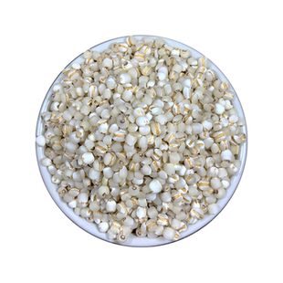 福建意米煲汤 四果汤 药用 金沙小薏米仁新鲜小薏仁米薏苡仁