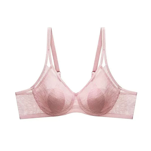 Triumph/黛安芬经典老花内衣女大胸显小兔耳薄款舒适文胸29R648