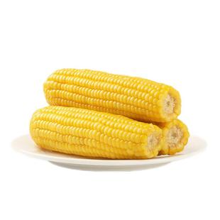 加农炮甜糯玉米1.8kg家庭装6-7根新鲜黄糯真空包装实惠健康粗粮