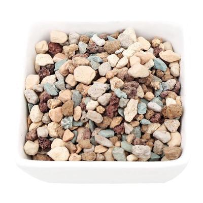 通用多肉颗粒土铺面石通用火山岩