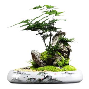 简约陶瓷花盆紫砂水杉文竹盆景盆室内客厅绿植造景多肉容器椭圆盆