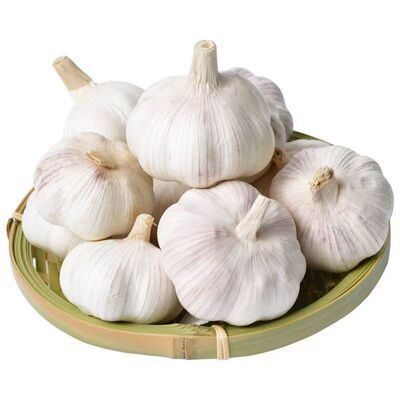 精选紫红皮大蒜头实惠装炒菜提鲜