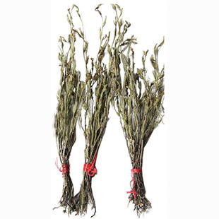 野生独脚金疳积草独脚柑传统中药材干品小孩厌食消食儿童食欲差