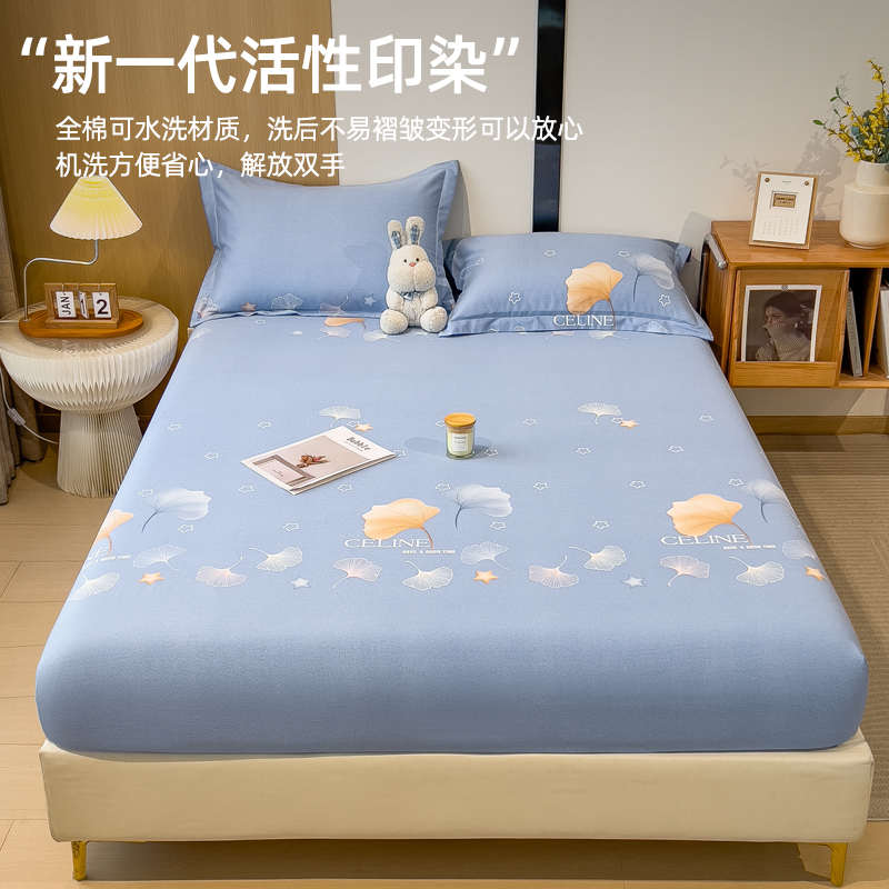 冬季加厚磨毛全棉床笠单件2024新款床罩纯棉全包床垫保护罩床单套
