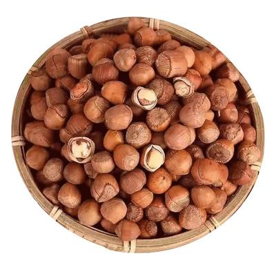 东北特产铁岭新鲜山榛子大号榛子2025干果生榛子散装坚果小榛子