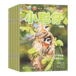 【2026年1-4月 赠科普图册+贴纸】小聪仔科普版 杂志2026/2025年1-12期 打包 幼儿益智兴趣智力开发期刊 2~8岁