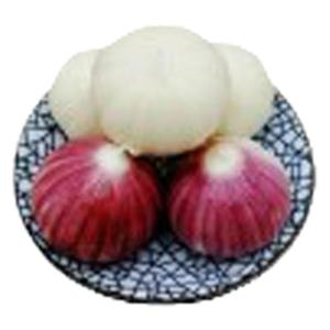 2024云南紫皮独头蒜大蒜头红皮独蒜干独蒜非新鲜现挖湿蒜蔬菜包邮