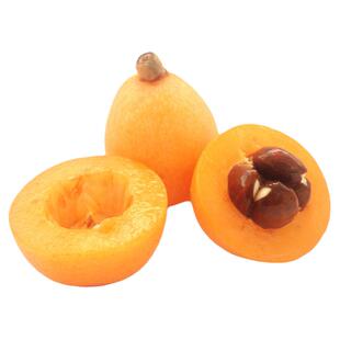 【现货】云南蒙自枇杷果5斤/2斤 新鲜水果