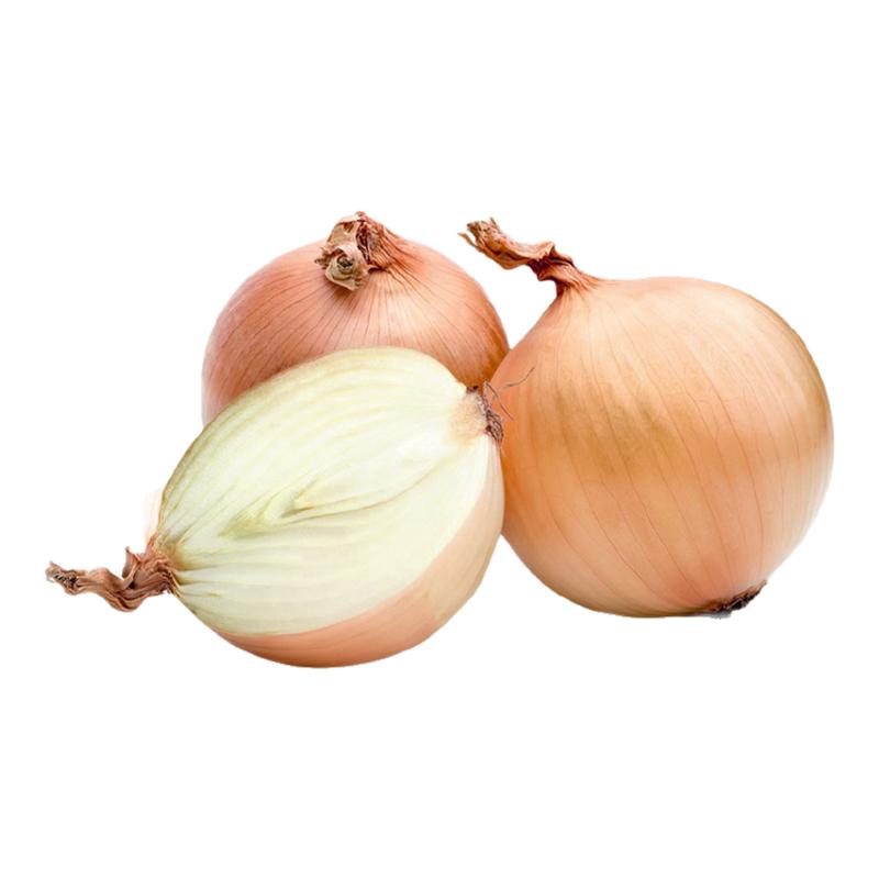 沁蕊斤装1000g新鲜蔬菜