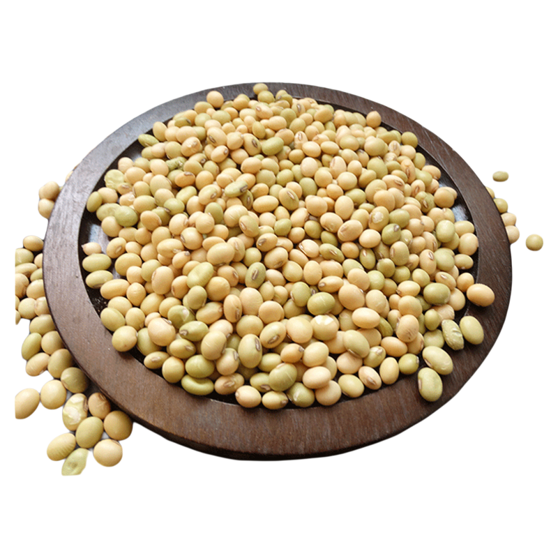 广东英德农家本地小黄豆打豆浆专用非转基因自种大豆种子传统耕作