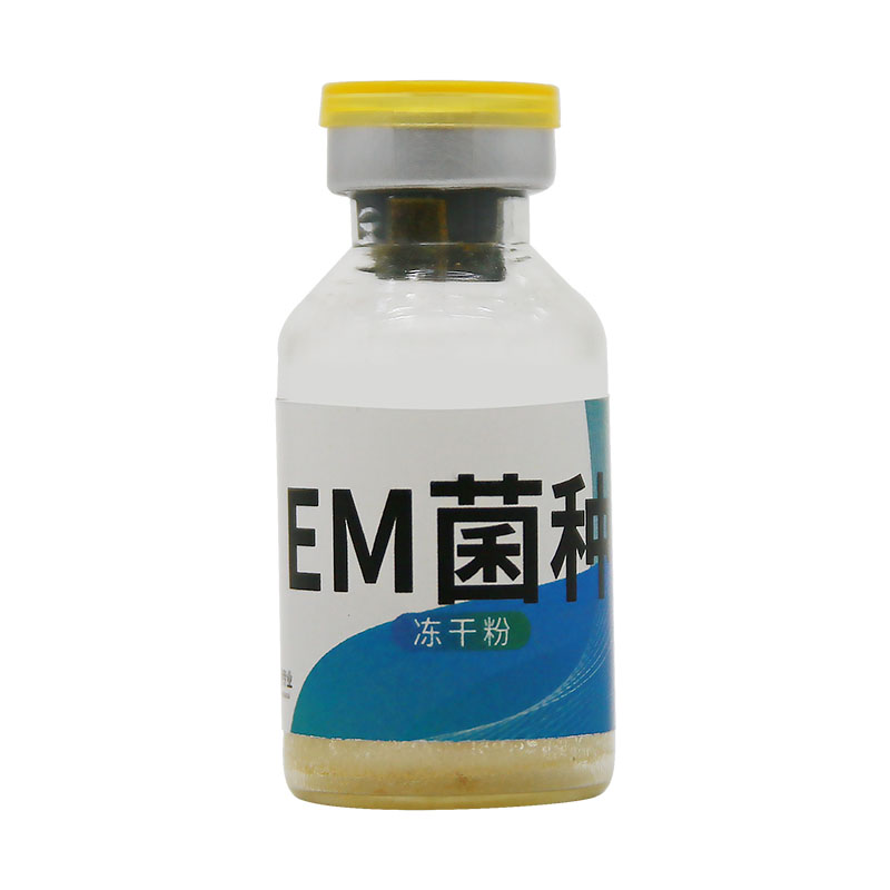 水产乳酸杆菌水产养殖调节水质净水降PH值水产微生物菌种em菌原种