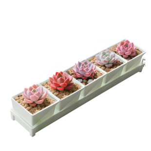 美莳长条形多肉花盆超窄窗台阳台套装组合透气植物控根塑料带托盘