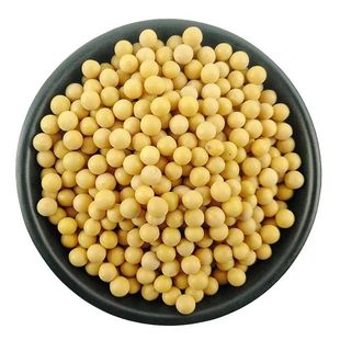 纳豆专用黄豆小粒690小金黄非转基因当季新豆发芽率高新鲜芽豆
