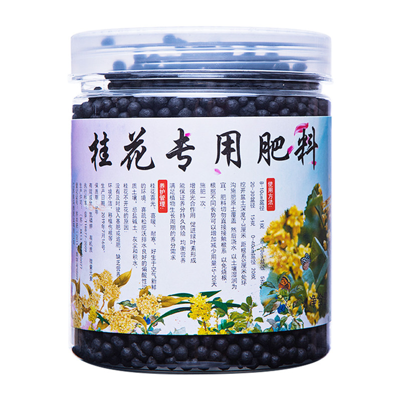 桂花肥料桂花治叶斑病枯叶病