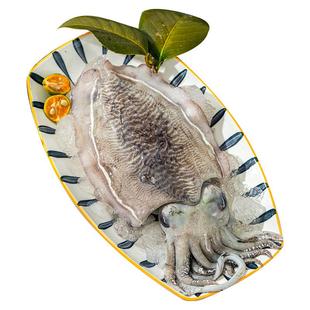 舟山大墨鱼新鲜墨鱼仔超大鲜活冷冻目鱼乌贼花枝海鲜水产