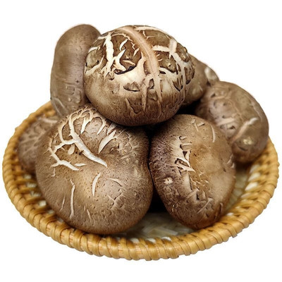 椴木生鲜香菇菌子蘑菇新鲜湿香菇菌菇拼盘炒菜下饭菜煲汤火锅食材