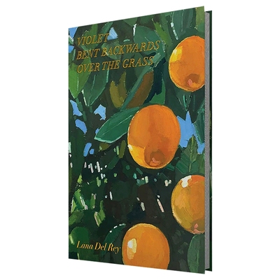 英文原版拉娜德雷诗歌集精装