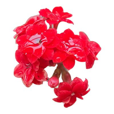 小米14ultra拍照预设包/14pro/14系列拍照风格预设包滤镜400组