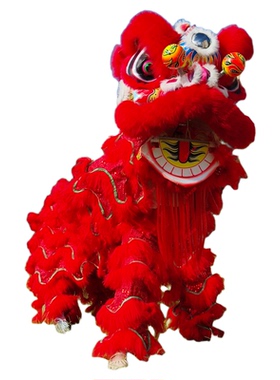 5号泡沫狮醒狮少年舞狮头
