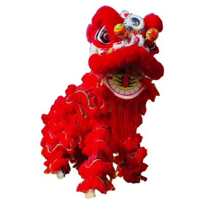 5号泡沫狮醒狮少年舞狮头