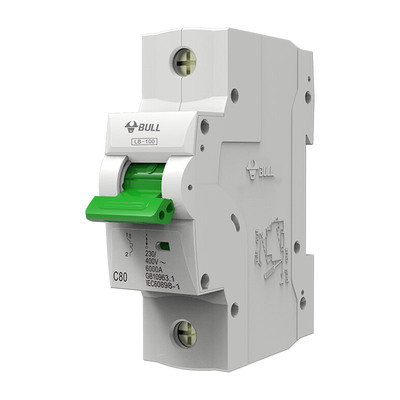 公牛家用空气开关总闸2p断路器