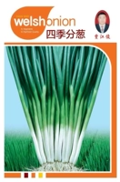 10 г семян лука за четыре сезона - оригинальная способность рубки и сильный аромат