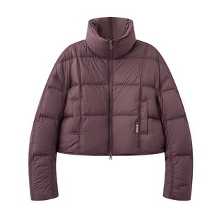 艾诺丝国内代购2025冬季新款时尚短款立领羽绒服外套女装AR004143