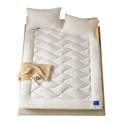 漾式山宁泰抗菌防螨大豆软床垫