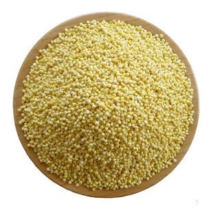 新大黄米端午包粽子米 黏黄米 糯大黄米粽子蒸年糕熬黏粥非东北