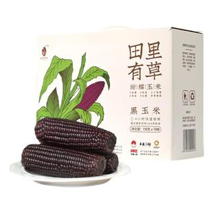 田里有草黑玉米含花青素东北甜糯黑玉米低脂健身早餐真空袋装鲜糯