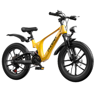 凤凰儿童自行车双减震镁合金车架3-5-7-9-10-12-15岁中大童山地车