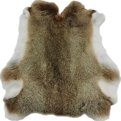 冬季优质大兔子皮毛整张老兔皮