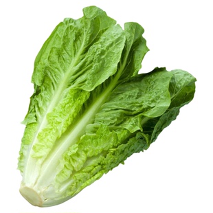 【千牛优福】散叶罗马生菜500g新鲜绿色西餐蔬菜沙拉食材顺丰发货