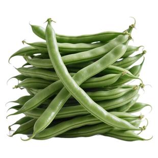 双花双荚红花有架四季豆新鲜早熟45天耐热耐寒软糯无筋无丝肉豆角