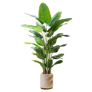 天堂鸟仿真绿植高端轻奢仿生花客厅大型室内盆栽摆件装饰树假植物
