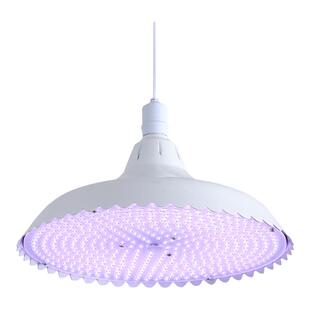 新国标生鲜灯2024新款led超市场卖猪肉水果灯熟食灯卤菜店专用灯