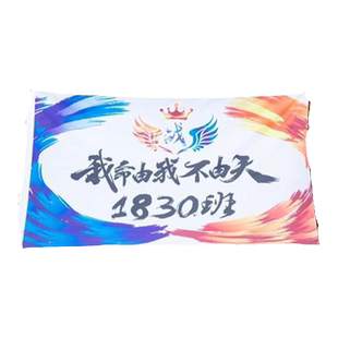 旗帜定做队旗导游旗音乐节应援大旗班旗定制横幅手拉旗广告旗子团建战旗小红旗彩旗团旗刀旗手摇户外旗子定制