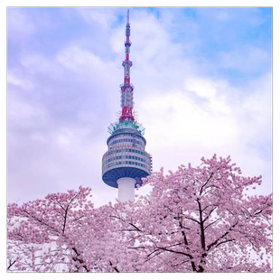 韩国·单次签证·北京送签·【美亚旅游】韩国签证加急高出签个人单次旅游北京天津本科学生简化办理