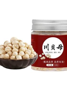 【限今日！】川贝母中药材150g！