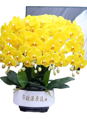 仿真花大盆保湿手感蝴蝶兰盆景家居客厅茶几装饰花电视柜玄关假花
